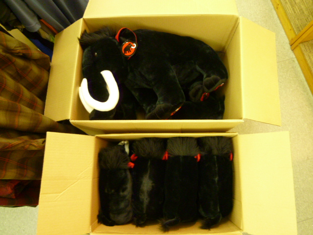 MAMMUTマンモス到着～！！