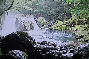 菊池渓谷（ＮＨＫひるブラ）・千寿の楽しい歴史_a0137997_1763620.jpg