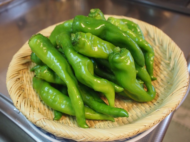 飯尾醸造さんその後：愛子おばあちゃんの万願寺とうがらし_c0017505_1527320.jpg