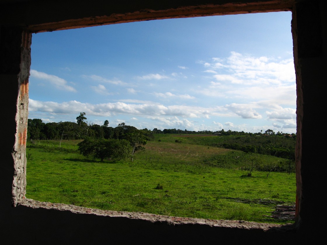 a0130111_2112612.jpg