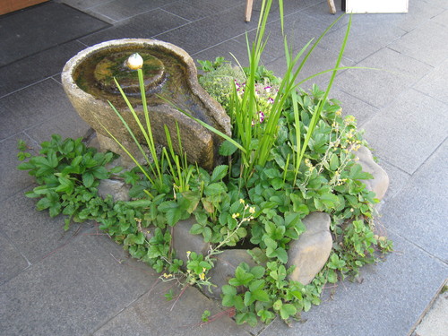 c0279611_2233910.jpg
