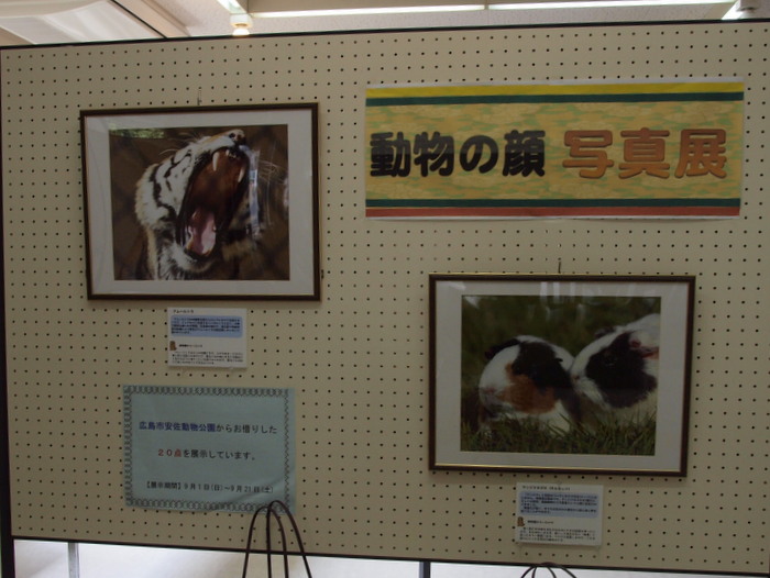 動物の顔写真展_c0116915_092885.jpg