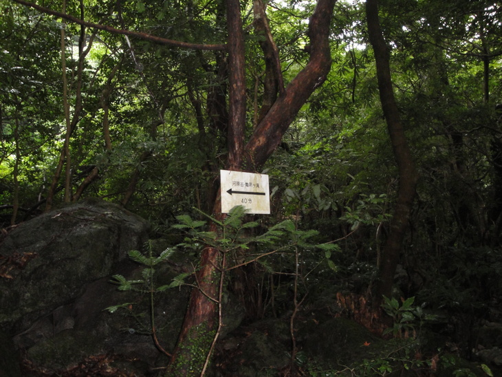 b0291016_22405420.jpg