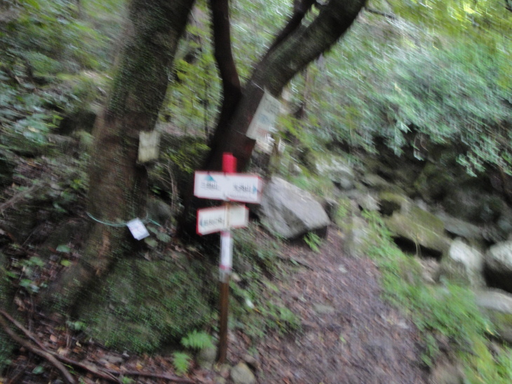 b0291016_22411829.jpg