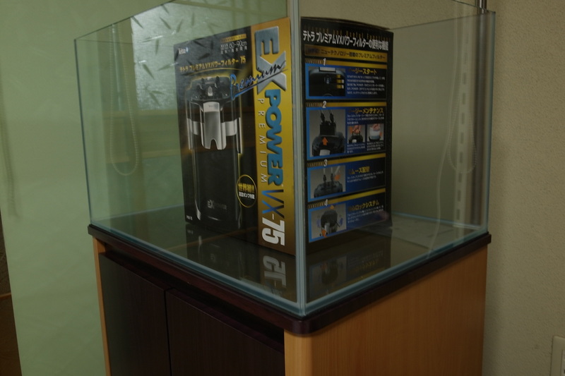 d0178523_8573385.jpg