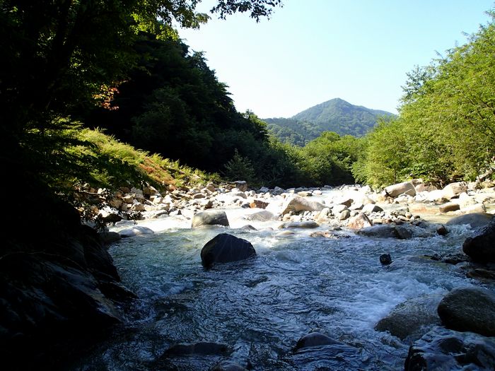 f0188724_21403314.jpg