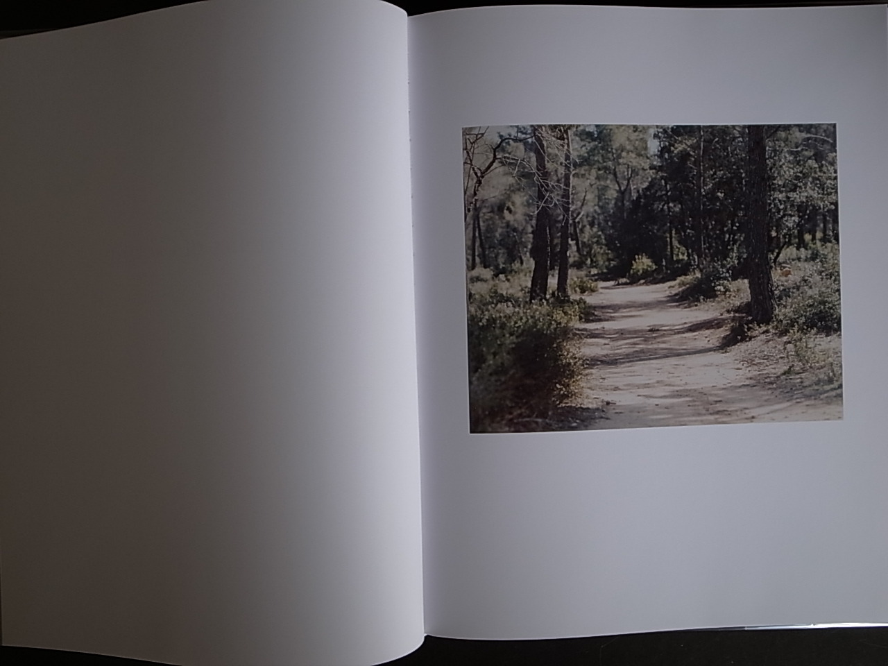 ATELIER OF CEZANNE / Risaku Suzuki : Books & Things