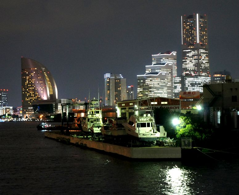 13/September 横浜コットンハーバーの夜景と藪蘭_e0149934_2312173.jpg