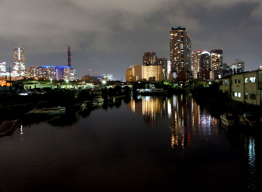 13/September 横浜コットンハーバーの夜景と藪蘭_e0149934_231556.jpg