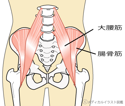 筋肉疲労からの腰痛、自律神経疲労からの腰痛 〜ある日の施術より〜_e0073240_10113726.png