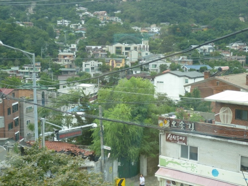 b0192743_10894.jpg