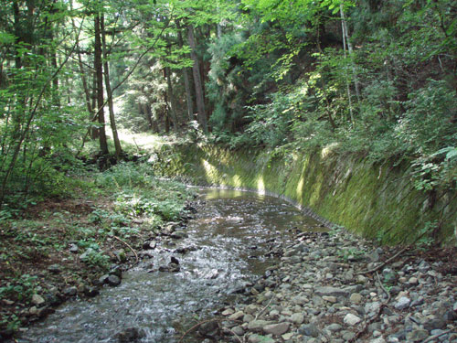 e0201348_623343.jpg