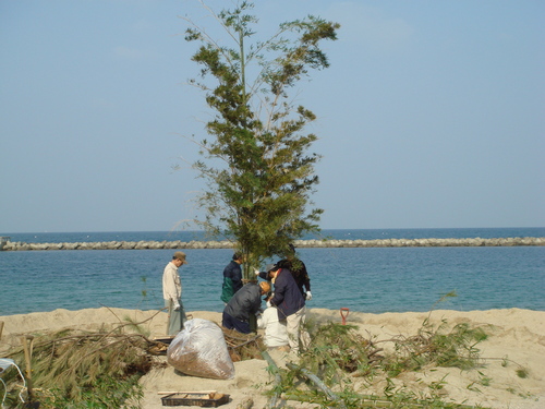 2007新春里海まつり準備…とんど組立・・・うみべの森を育てる会臨時活動日_c0108460_21294337.jpg