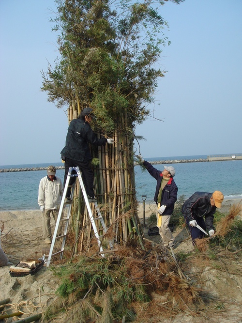 2007新春里海まつり準備…とんど組立・・・うみべの森を育てる会臨時活動日_c0108460_2133379.jpg