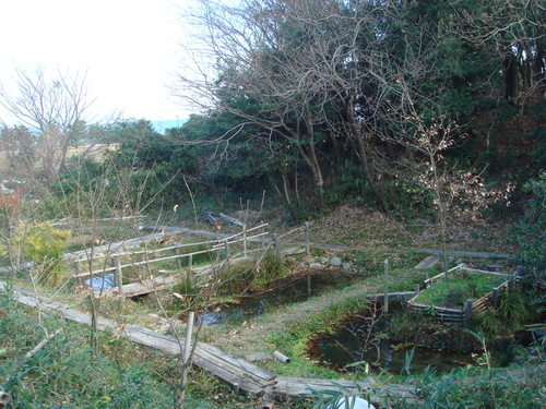 2007年1月度うみべの森を育てる会運営委員会_c0108460_214631100.jpg