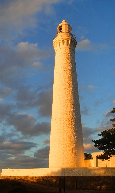 c0119160_2054494.jpg