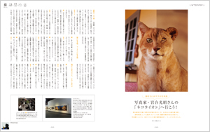 vol.51「猫づくし２」発売です！_b0043961_1523277.jpg