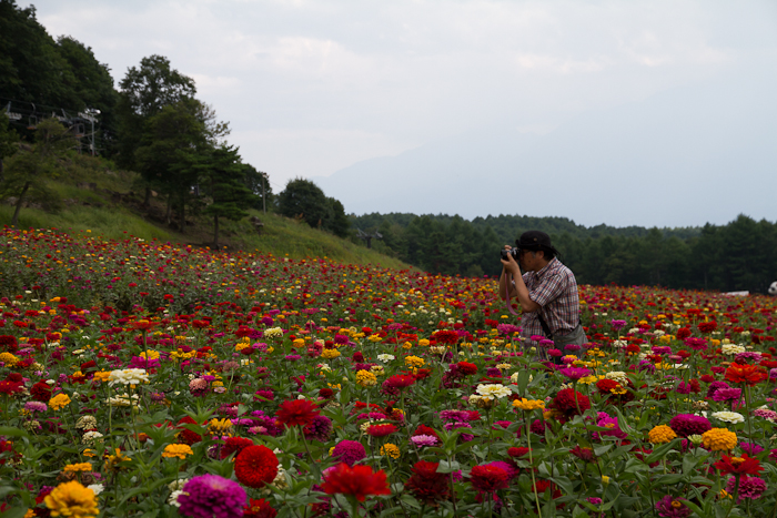 花撮りさんたち_c0134064_12521097.jpg