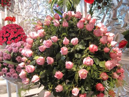 【地域情報】Holambraの花祭りへ④_f0146587_9481745.jpg