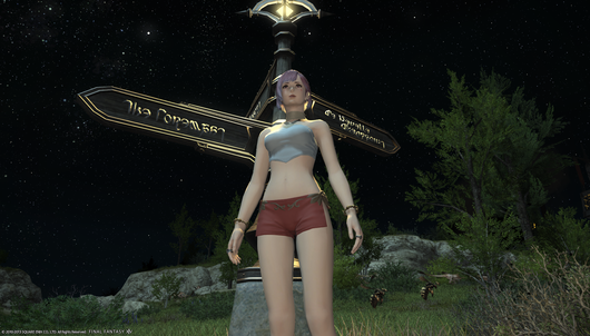 b0296791_139249.png