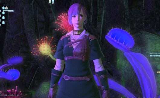 b0296791_14141445.png