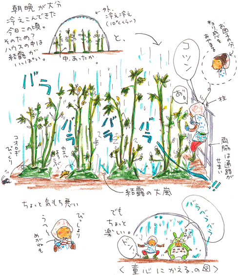 f0236291_11365796.gif