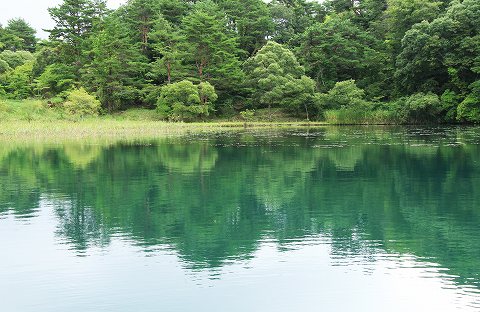 東北バス旅行_a0222494_8474524.jpg