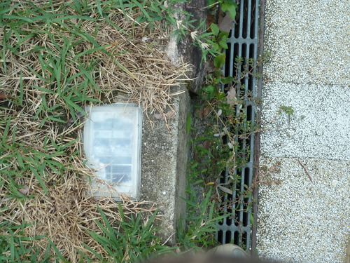 f0166694_21363092.jpg