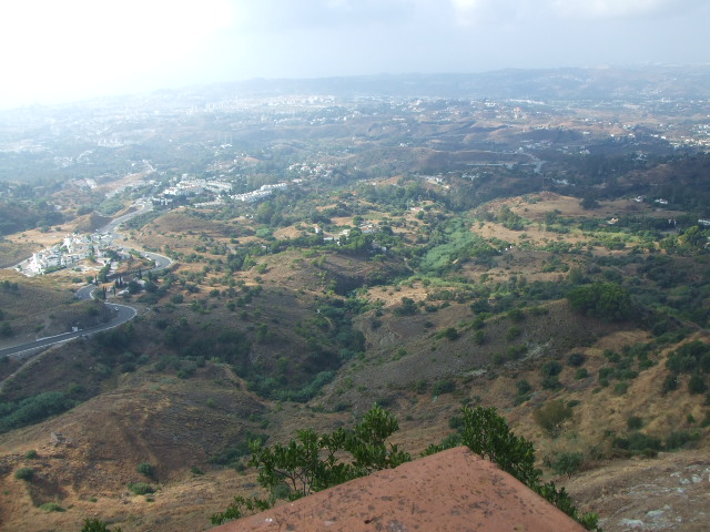 f0076001_374271.jpg