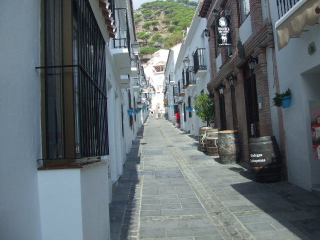 f0076001_382141.jpg