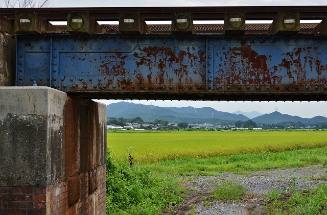 真岡鉄道のSL_a0169902_234103.jpg