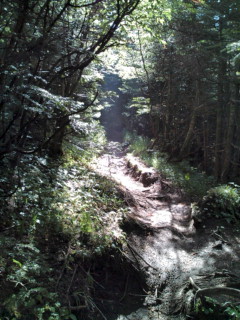 e0028904_1736223.jpg