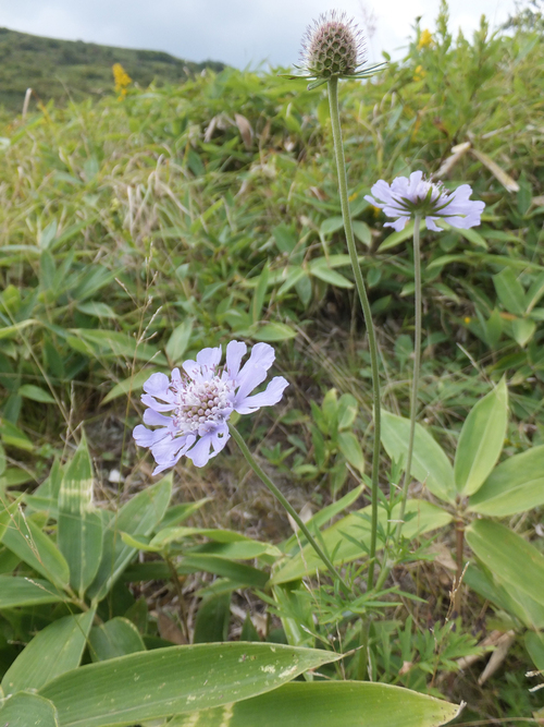 f0155808_1442939.jpg