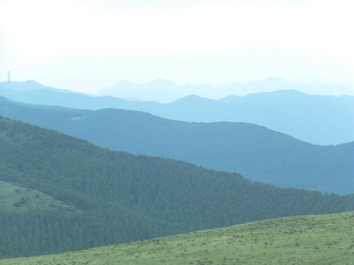 f0155808_145827.jpg