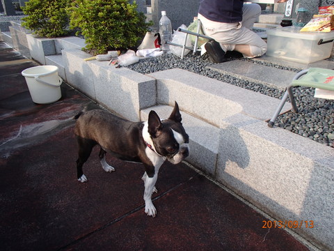 c0165909_8181436.jpg