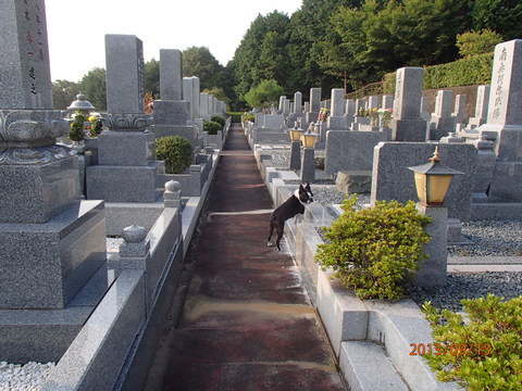 c0165909_8232249.jpg