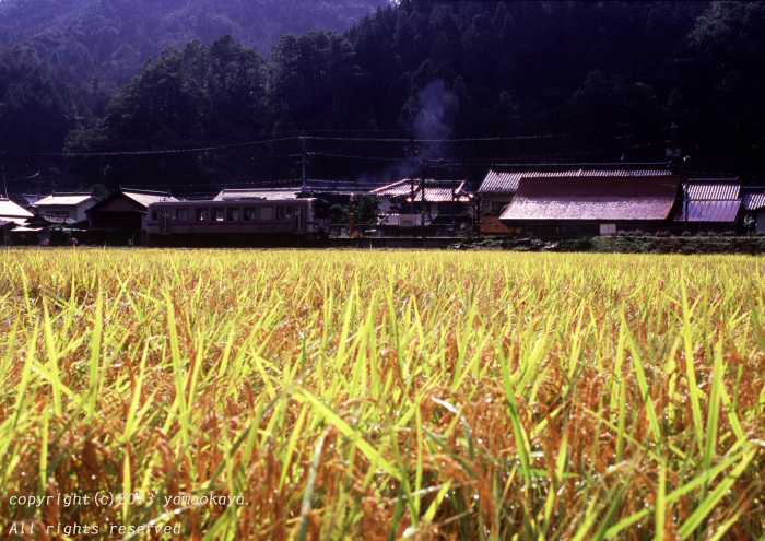 d0309612_22162190.jpg