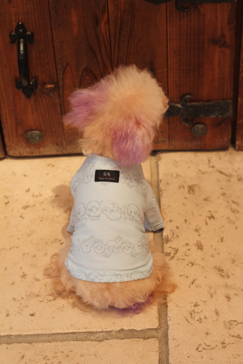 Atelier G•G♡_d0060413_18565591.jpg