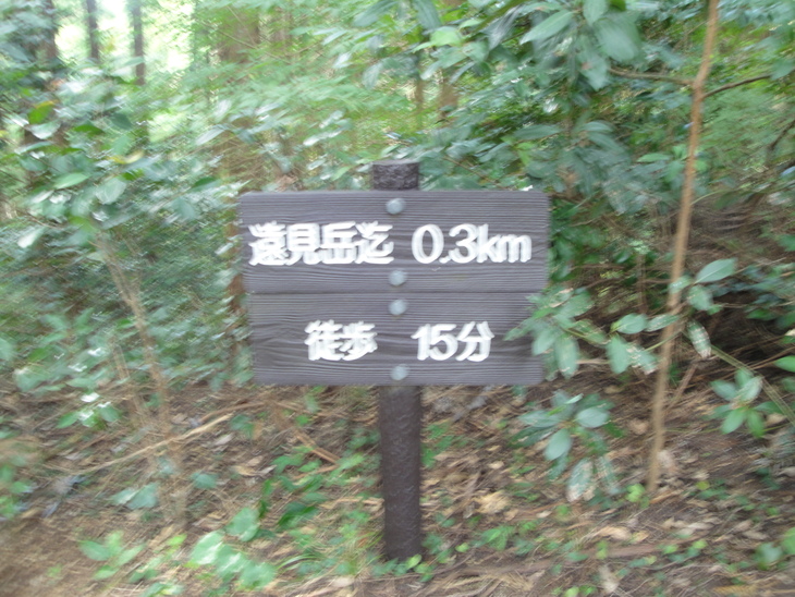 b0291016_2033528.jpg