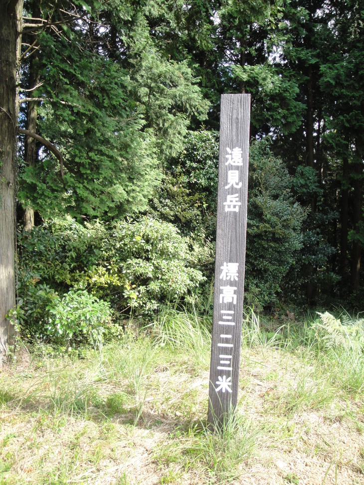 b0291016_206317.jpg
