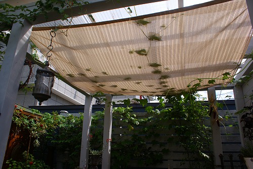 f0170524_11313396.jpg