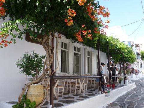 ギリシャ ミコノス島旅行記 4日目-3_e0237625_1251137.jpg