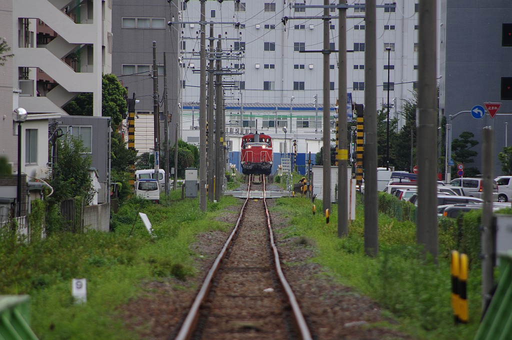 今日の越中島（9/14）_f0203926_192201.jpg