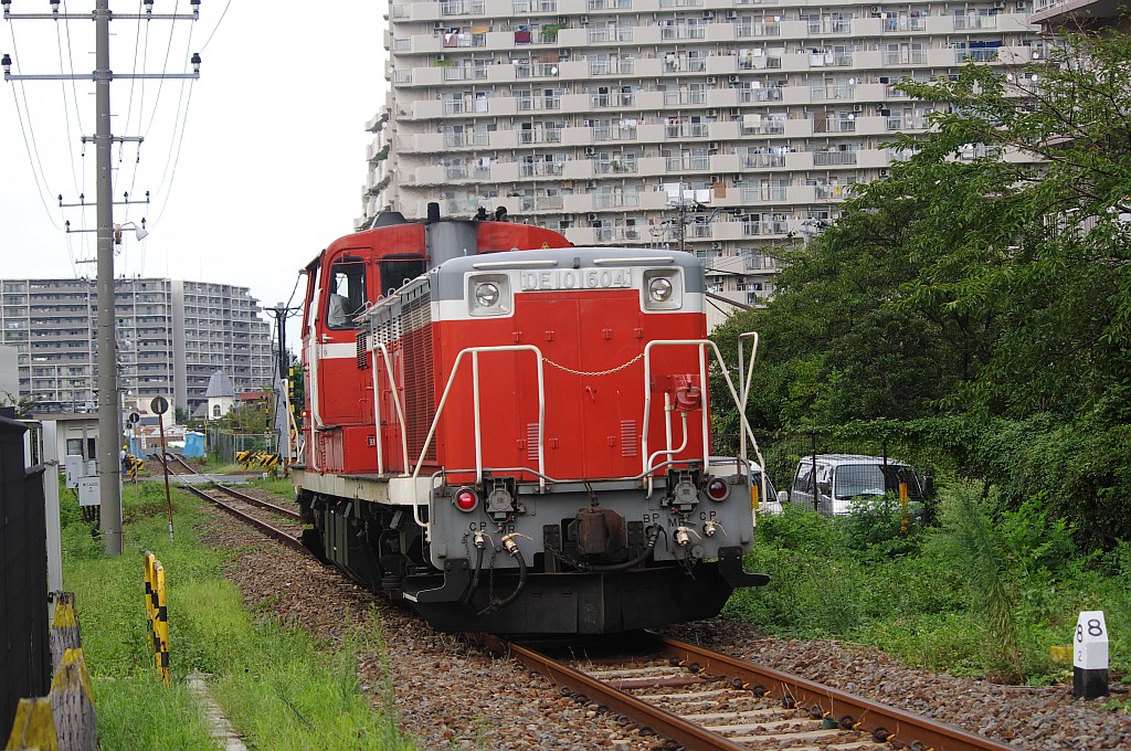 今日の越中島（9/14）_f0203926_19284810.jpg