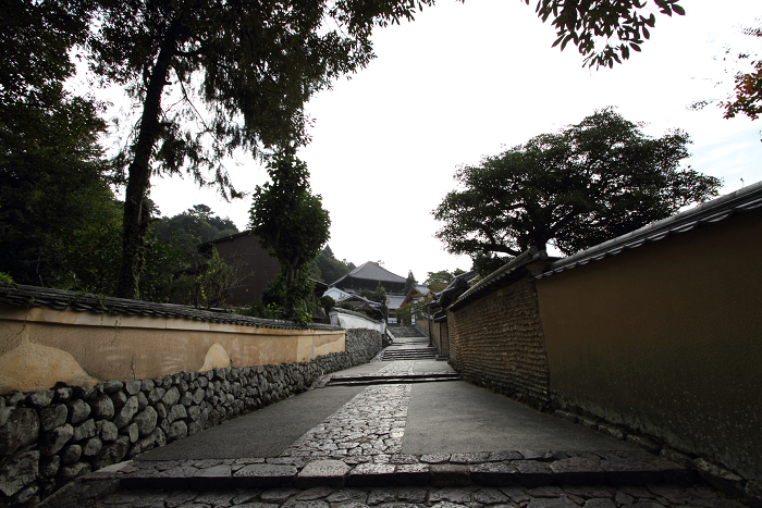 いにしえの奈良へ －東大寺・二月堂（後編）－_b0169330_1720384.jpg