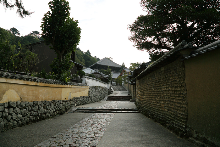 いにしえの奈良へ －東大寺・二月堂（後編）－_b0169330_8363995.jpg