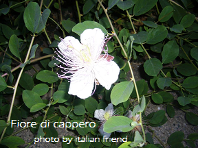 d0269832_946879.png