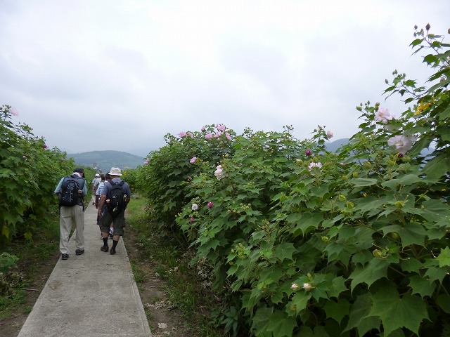 a0006033_1793669.jpg