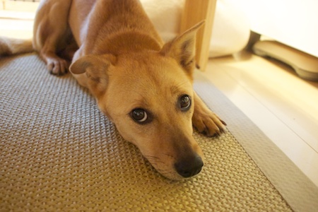 e0234737_20125990.jpg