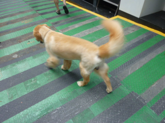e0248743_704910.jpg